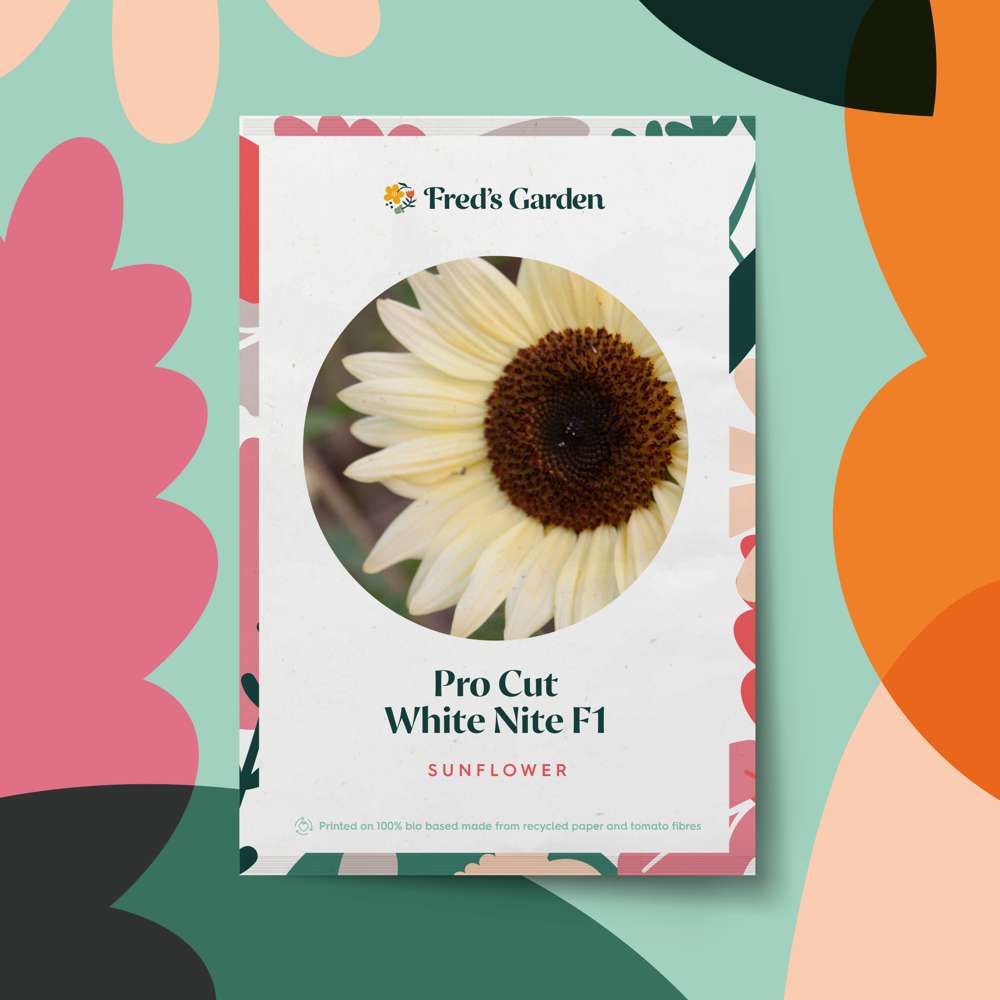 Solsikke 'Pro Cut White Nite F1' (frø)